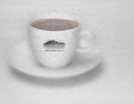 Die R&ouml;sterei Jamaica Blue Mountain