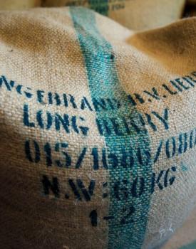 Gebrand Indonesia, Washed Arabica, Sumatra, Wahana Plantation, Longberry