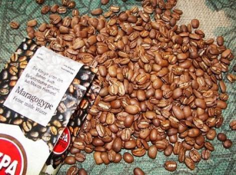 Hepa-Kaffee Maragogype