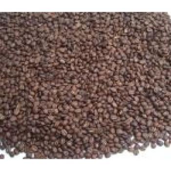 Kaffee Fredo Espresso Cappuccino