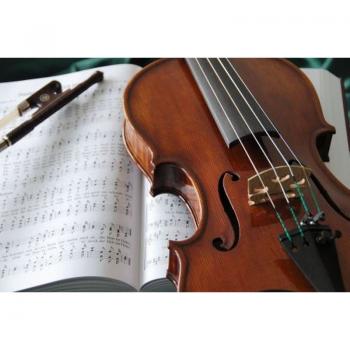 Kaffee Fredo Amadeus