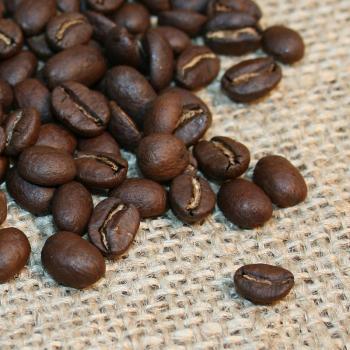 Kaffee Manufaktur &Auml;thiopien &raquo;Sidamo&laquo; Bio