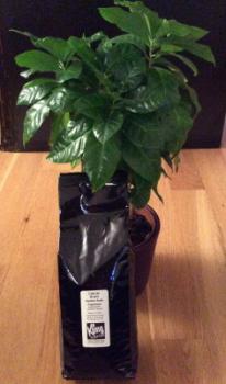 K&uuml;ng Brasil natura