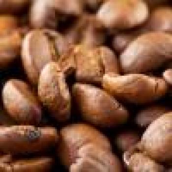 R&ouml;sterei B&ouml;gl Brasil - Santos-Royal