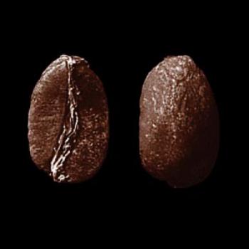 SAMOCCA Arabica Grade 2 (Peru)