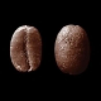 SAMOCCA R&ouml;stergilde La Cascada Estate SHB (Guatemala)