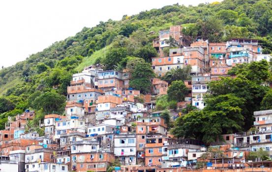 Wildkaffee Brasilien FAF